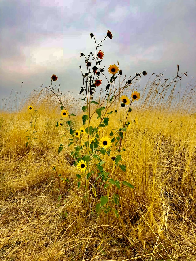 Leduc Recruiters and Headhunters