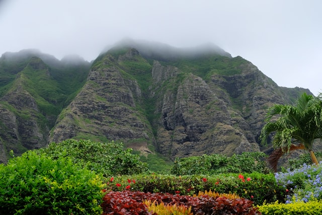 Kailua Recruiters and Headhunters