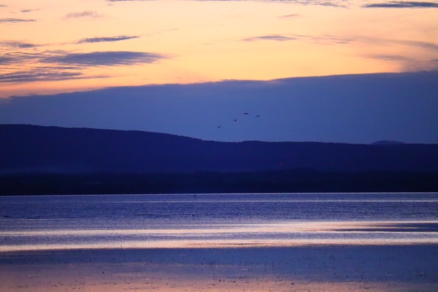 Colchester VT Recruiters and Headhunters