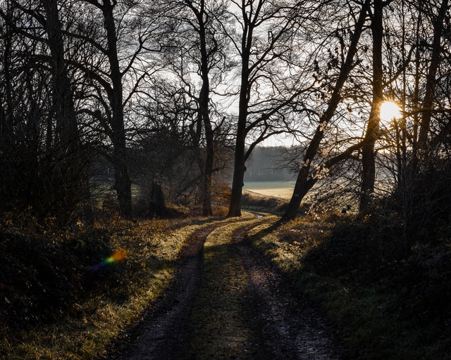 Basingstoke UK recruiters and headhunters